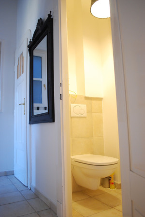 Elegant Renovated Apartment in Szentkirályi utca